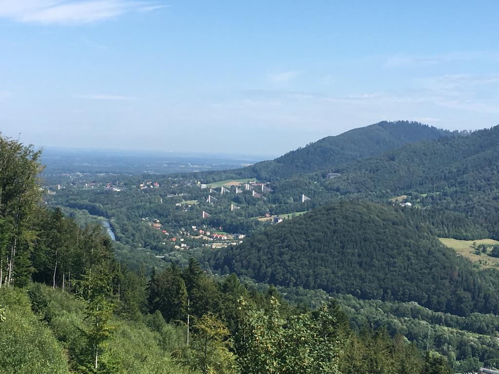 Apartamenty Nad Potoczkiem Ustroń Exterior foto